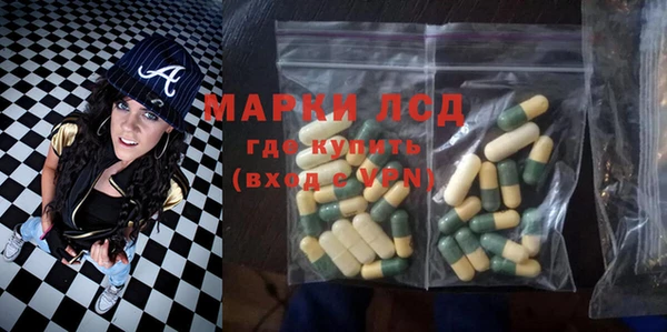 apvp Иннополис