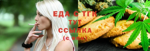 ГАЛЛЮЦИНОГЕННЫЕ ГРИБЫ Инта